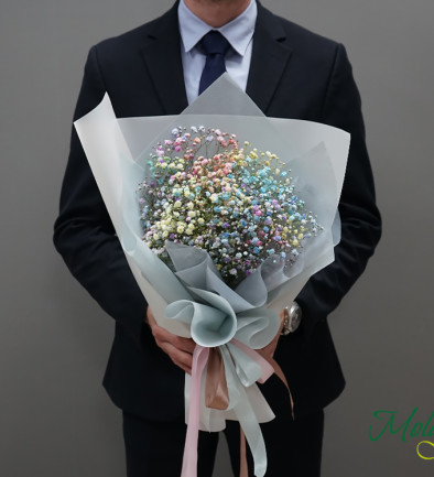 Bouquet of Colored Baby's Breath photo 394x433